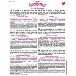 MINI FABRIQUE A BONBONS : saveur Fruits Rouges - Sentosphère
