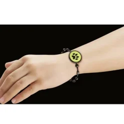 Miraculous : Adrien & Chat Noir - Playmobil