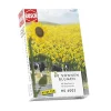 Modélisme : Végétation - Champ de tournesols - Busch
