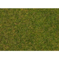 Modélisme : Végétation : Fibres de flocage, Herbes sauvages, Prairie début d'été - Faller