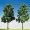 Modélisme HO : Végétation : Arbres série super : 2 hêtres -