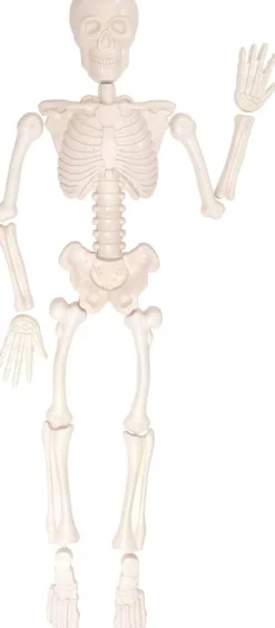 Moules en sable squelette humain - Eduplay