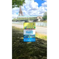 Next Station Paris - Tribuo