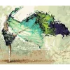 Peinture au numéro : Ballerine Moderne - sans châssis en bois - Figured'Art