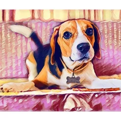 Peinture au numéro : Beagle Mignon - toile tendue sur châssis - Figured'Art