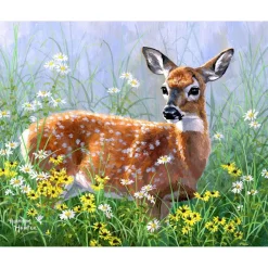 Peinture au numéro : Biche dans la prairie - toile tendue sur châssis - Figured'Art