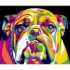 Peinture au numéro : Bulldog Pop Art - toile tendue sur châssis - Figured'Art
