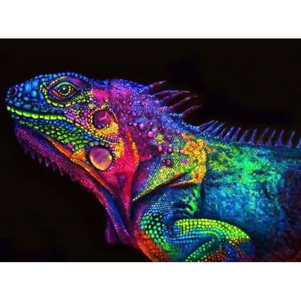 Peinture au numéro : Caméléon coloré - sans châssis en bois - Figured'Art