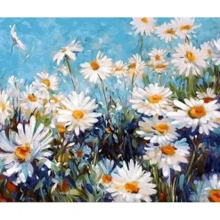 Peinture au numéro : Champ de Marguerites et Ciel bleu - sans châssis en bois - Figured'Art