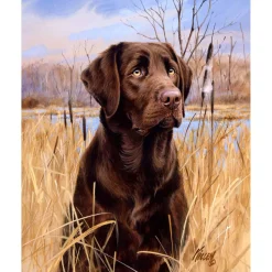 Peinture au numéro : Chien labrador - sans châssis en bois - Figured'Art