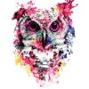 Peinture au numéro : Chouette rose moderne - sans châssis en bois - Figured'Art