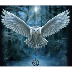 Peinture au numéro : Chouette porteuse de croix - sans châssis en bois - Figured'Art