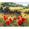 Peinture au numéro : Coquelicots champêtres - sans châssis en bois - Figured'Art