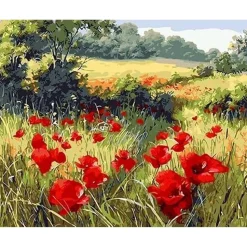 Peinture au numéro : Coquelicots champêtres - sans châssis en bois - Figured'Art