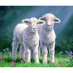 Peinture au numéro : Couple de moutons - toile tendue sur châssis - Figured'Art