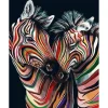 Peinture au numéro : Couple de Zèbres colorés - sans châssis en bois - Figured'Art