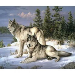 Peinture au numéro : Couple de loups - sans châssis en bois - Figured'Art