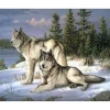 Peinture au numéro : Couple de loups - toile tendue sur châssis - Figured'Art
