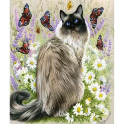 Peinture au numéro : Découverte des papillons - toile tendue sur châssis - Figured'Art