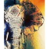 Peinture au numéro : Eléphant d'Asie - sans châssis en bois - Figured'Art