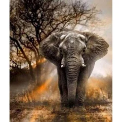 Peinture au numéro : Eléphant solitaire - sans châssis en bois - Figured'Art