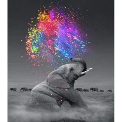Peinture au numéro : Eléphant et explosion de Couleurs - sans châssis en bois - Figured'Art