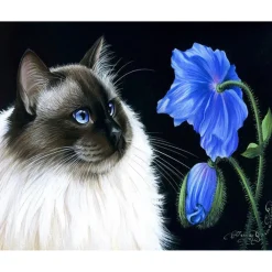 Peinture au numéro : Face à face floral - toile tendue sur châssis - Figured'Art