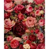 Peinture au numéro : Fleurs Romantiques - sans châssis en bois - Figured'Art