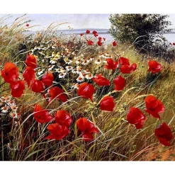 Peinture au numéro : Fleurs champêtres - sans châssis en bois - Figured'Art