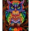 Peinture au numéro : Hibou coloré - toile tendue sur châssis - Figured'Art