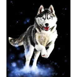 Peinture au numéro : Husky - sans châssis en bois - Figured'Art