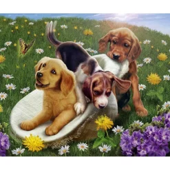 Peinture au numéro : Jeux entre amis - toile tendue sur châssis - Figured'Art