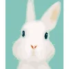 Peinture au numéro : Lapin blanc - sans châssis en bois - Figured'Art