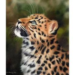 Peinture au numéro : Leopard curieux - toile tendue sur châssis - Figured'Art