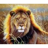 Peinture au numéro : Lion dans la savane - sans châssis en bois - Figured'Art
