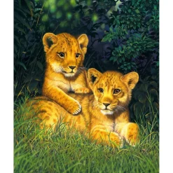 Peinture au numéro : Lionceaux - toile tendue sur châssis - Figured'Art