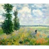 Peinture au numéro : Monet Champ de coquelicots - sans châssis en bois - Figured'Art