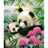 Peinture au numéro : Pandas Géants - sans châssis en bois - Figured'Art