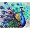 Peinture au numéro : Paon coloré - sans châssis en bois - Figured'Art