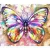 Peinture au numéro : Papillon coloré - sans châssis en bois - Figured'Art