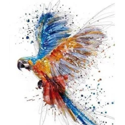 Peinture au numéro : Perroquet en plein Vol - toile tendue sur châssis - Figured'Art