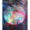 Peinture au numéro : Pleine Lune aux reflets multicolores - toile tendue sur châssis - Figured'Art