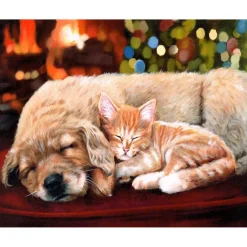 Peinture au numéro : Sieste entre amis - sans châssis en bois - Figured'Art