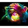 Peinture au numéro : Singe coloré - sans châssis en bois - Figured'Art