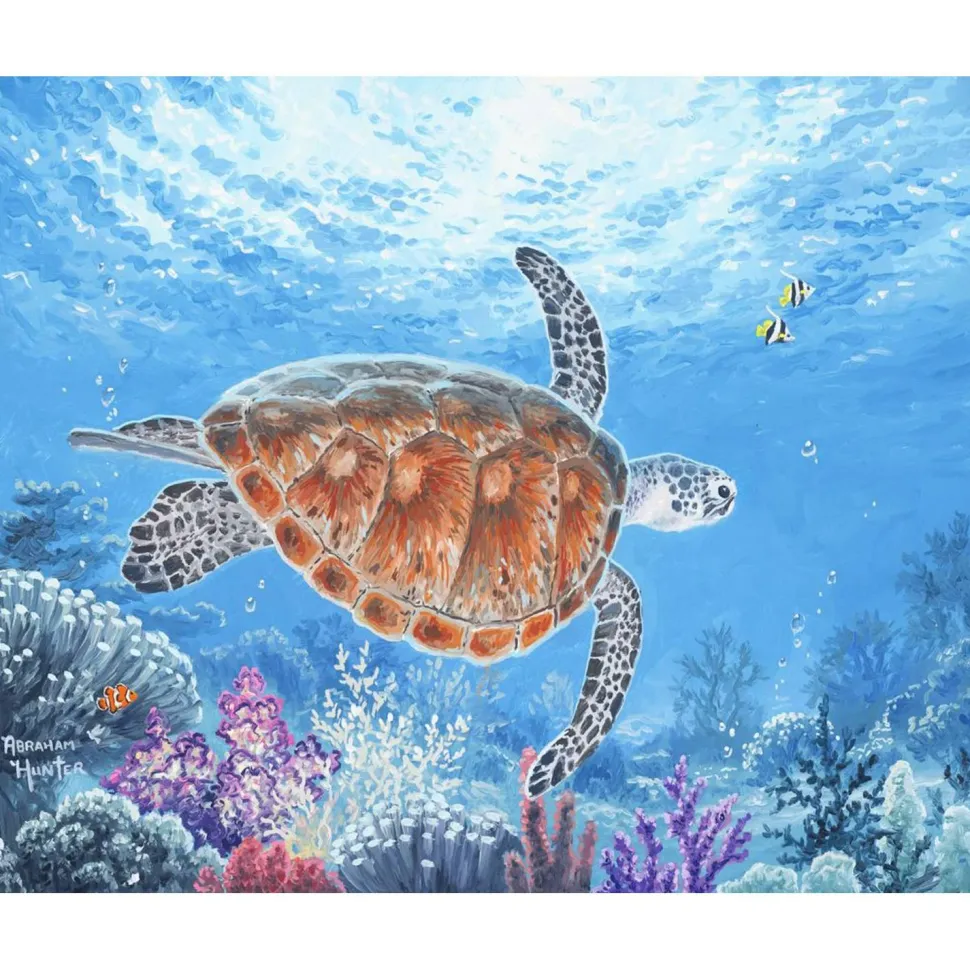 Peinture au numéro : Tortue en ballade - sans châssis en bois - Figured'Art