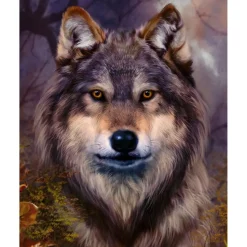 Peinture au numéro : Tête de loup - toile tendue sur châssis - Figured'Art