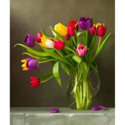 Peinture au numéro : Tulipes multicolores - sans châssis en bois - Figured'Art
