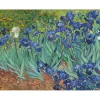 Peinture au numéro : Van Gogh Iris - sans châssis en bois - Figured'Art