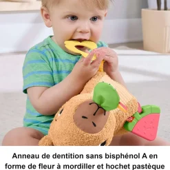 Peluche Anneau De Dentition Et Hochet : Mon Capybara Câlins - Fisher-Price