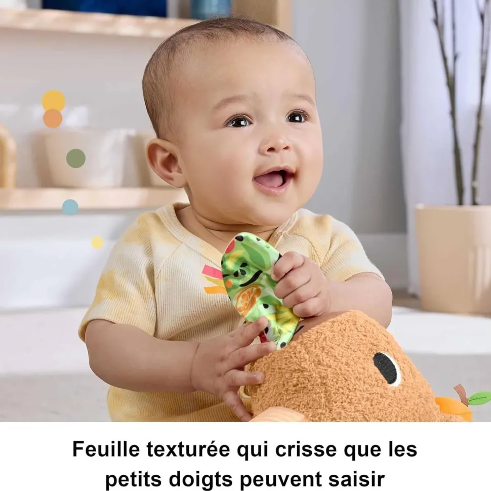 Peluche Anneau De Dentition Et Hochet : Mon Capybara Câlins - Fisher-Price